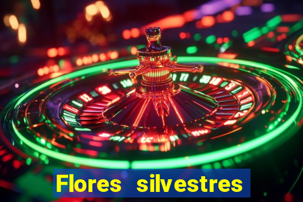 Flores silvestres brasileiras 25